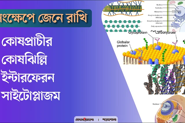সংক্ষেপে জেনে রাখি - কোষপ্রাচীর, কোষঝিল্লি, ইন্টারফেরন, সাইটোপ্লাজম