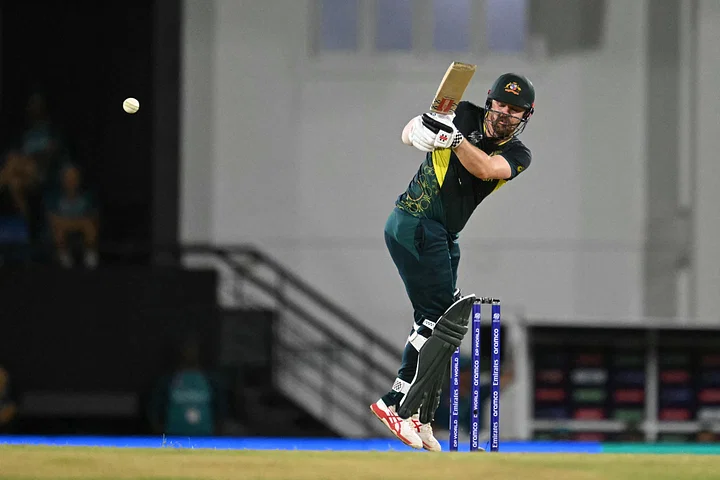 অ্যামেজিং ফটো গ্যালারি বাই মিস্টার নুডলস